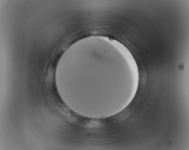 X0000113140475200910161200