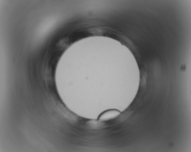 X0000113140477200910161200