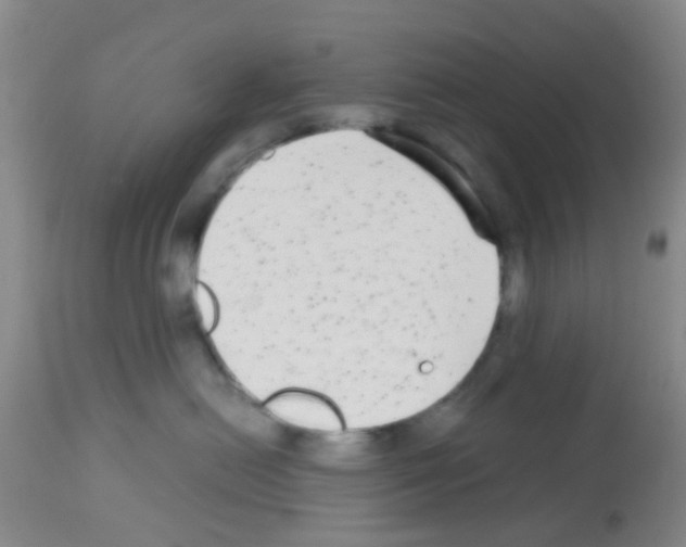 X0000113140478200910161200