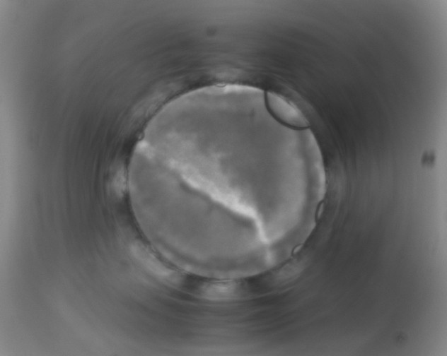 X0000113140479200910161200