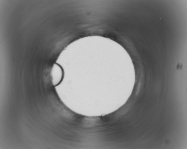 X0000113140480200910161200