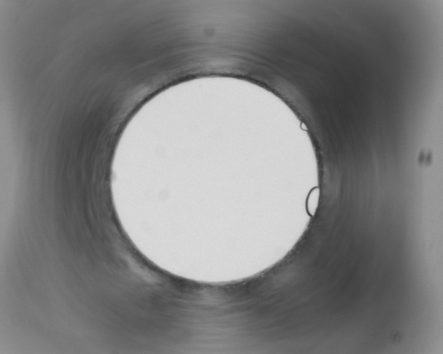 X0000113140481200910161159