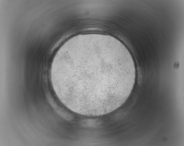 X0000113140482200910161159