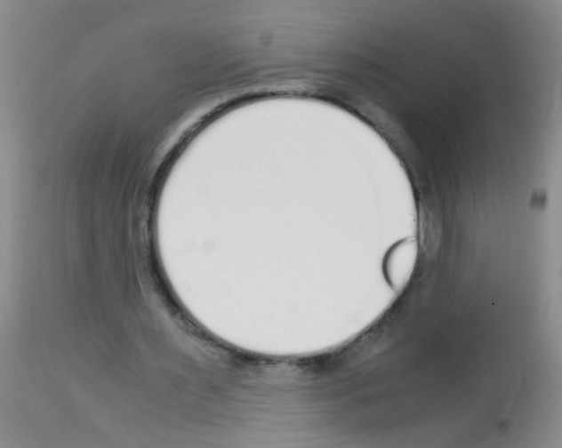 X0000113140483200910161159