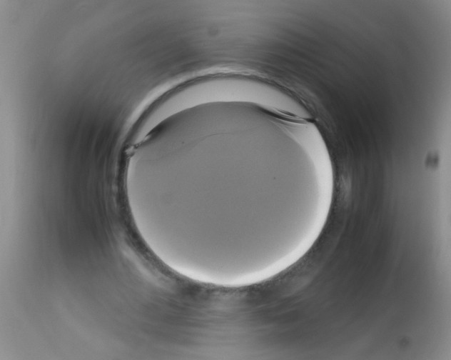 X0000113140484200910161159