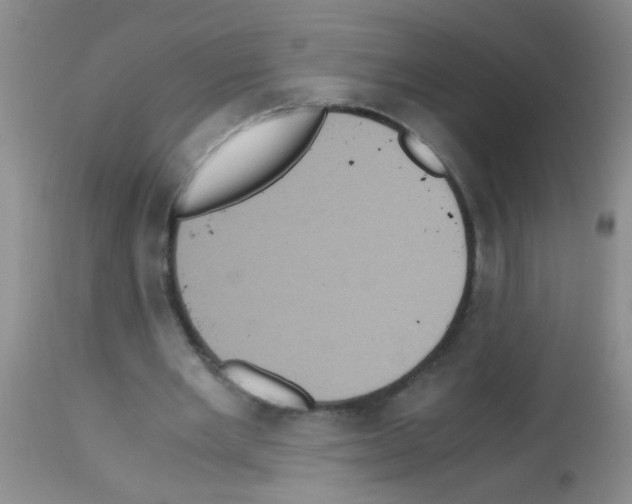 X0000113140485200910161159