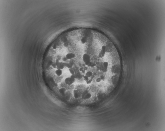 X0000113140487200910161159