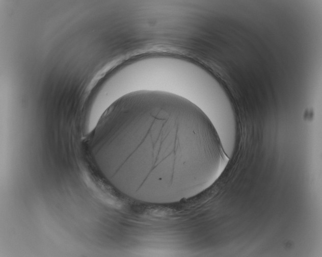 X0000113140488200910161159