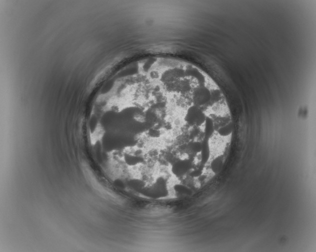X0000113140491200910161159