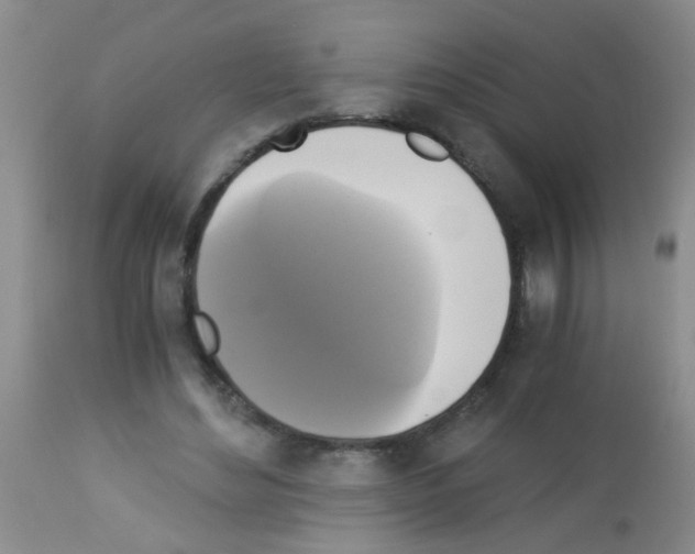 X0000113140492200910161159
