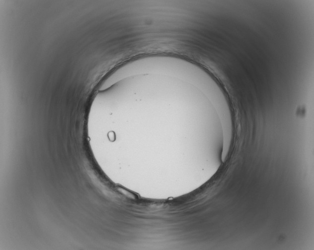 X0000113140493200910161159