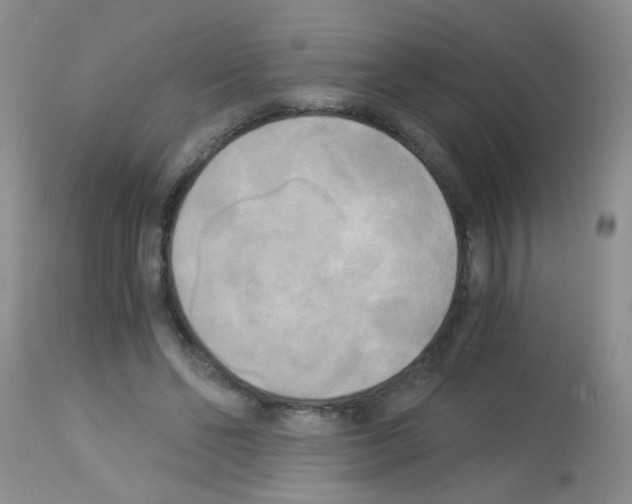 X0000113140494200910161159