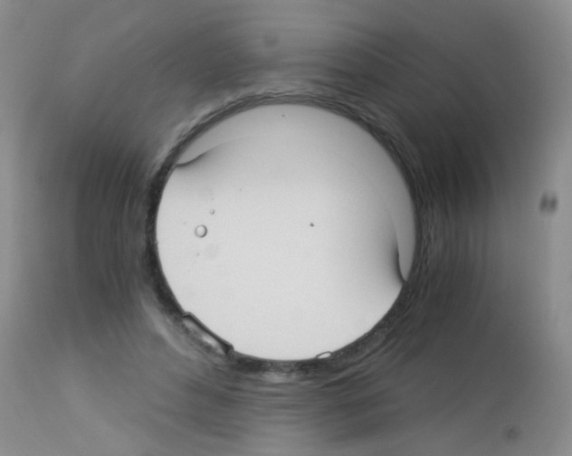 X0000113140496200910161159