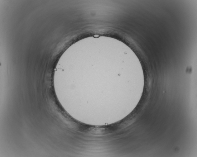 X0000113140497200910161159