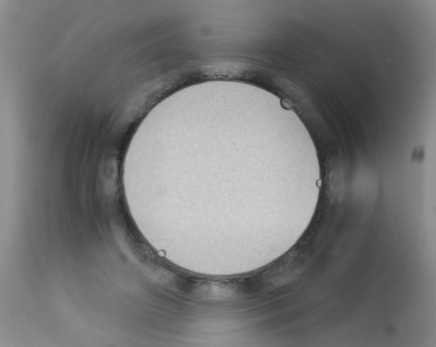 X0000113140498200910161159