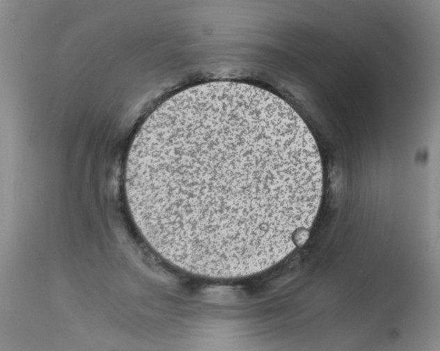 X0000113140499200910161159