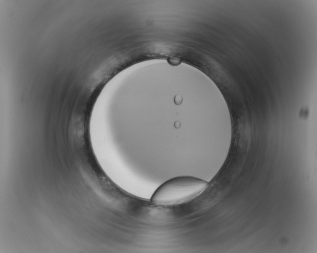 X0000113140500200910161159