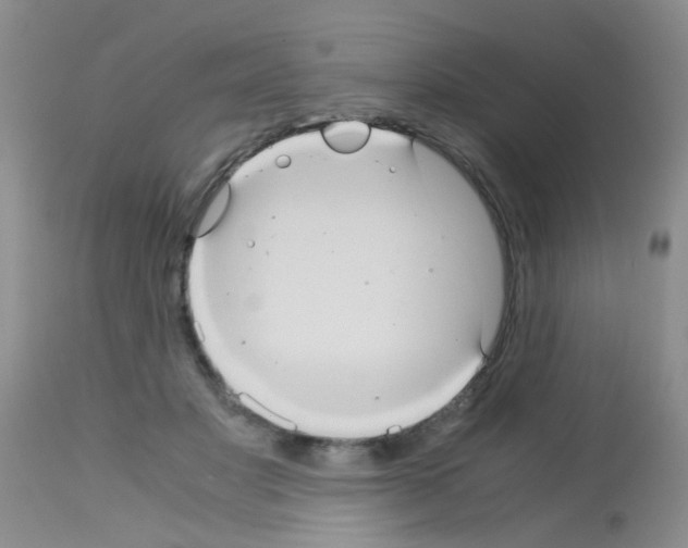 X0000113140501200910161159