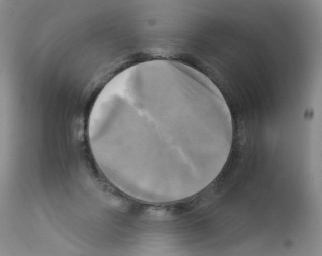 X0000113140502200910161159
