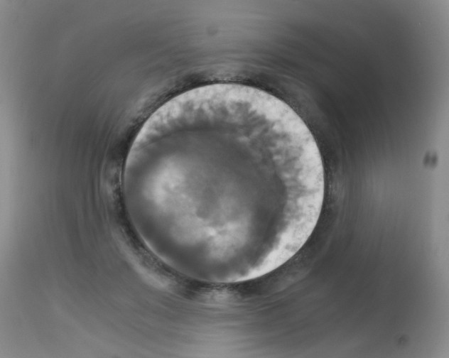 X0000113140503200910161159