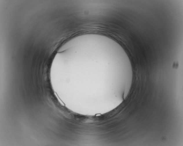 X0000113140504200910161159