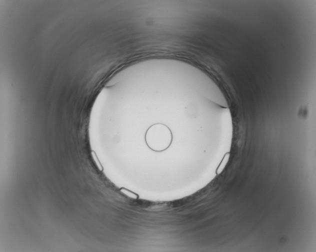 X0000113140505200910161159