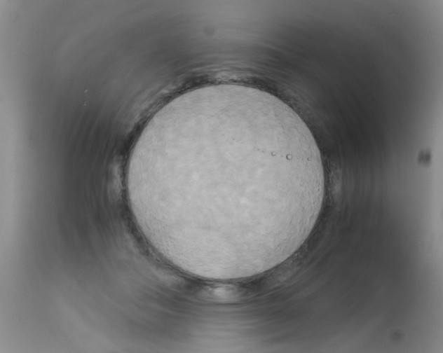 X0000113140506200910161159
