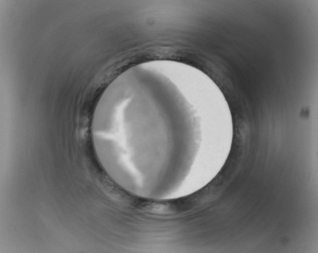 X0000113140507200910161159