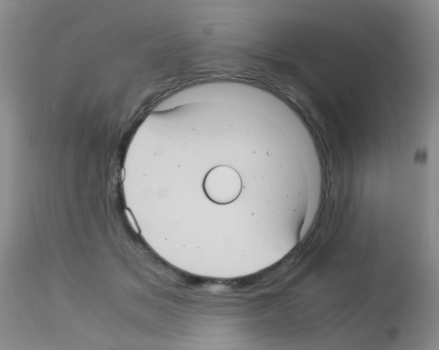 X0000113140509200910161159
