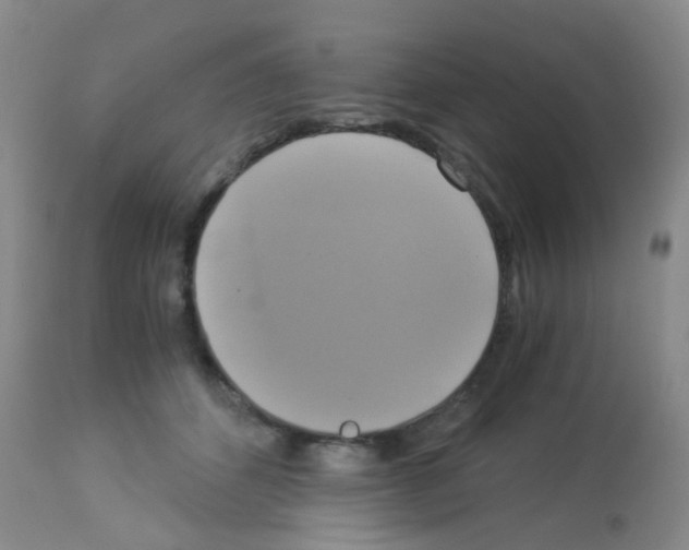 X0000113140512200910161159