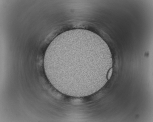X0000113140513200910161159