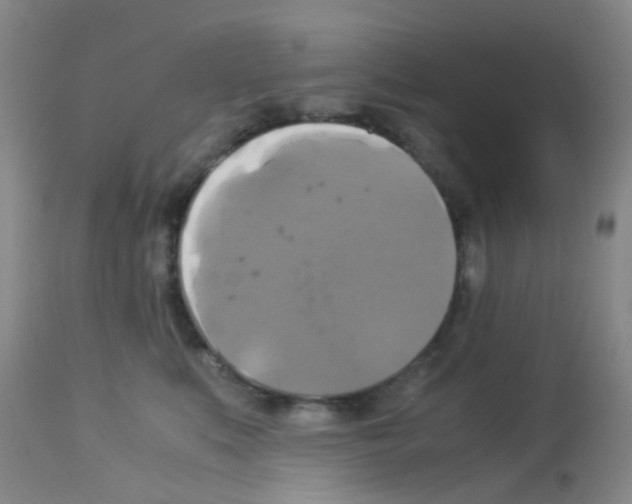 X0000113140519200910161158