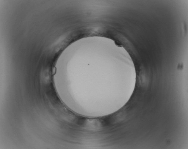 X0000113140520200910161158
