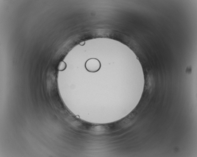 X0000113140522200910161158