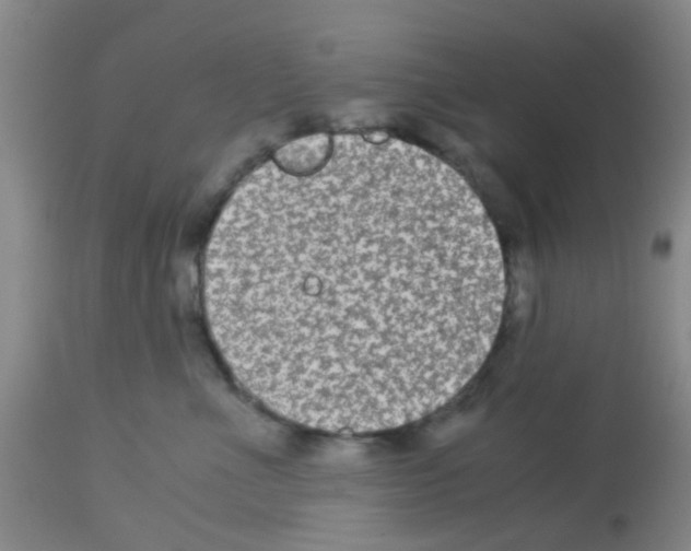 X0000113140523200910161158