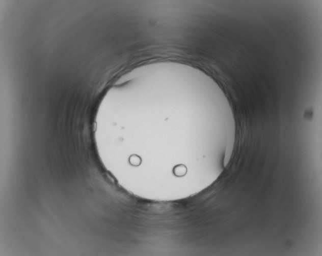 X0000113140524200910161158