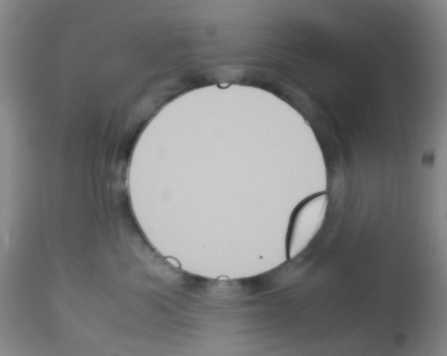 X0000113140525200910161158