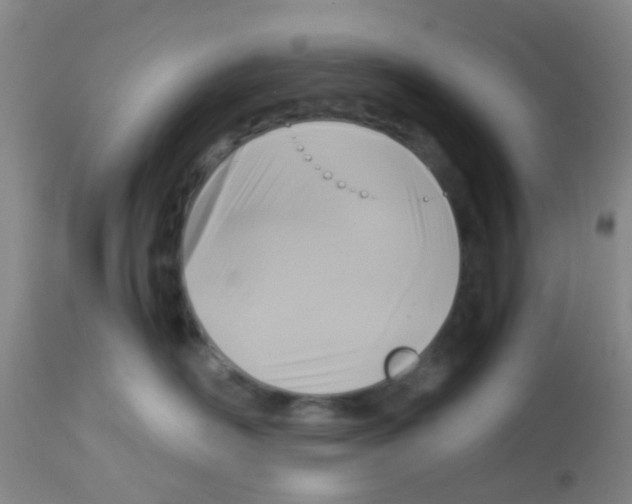X0000113140526200910161158