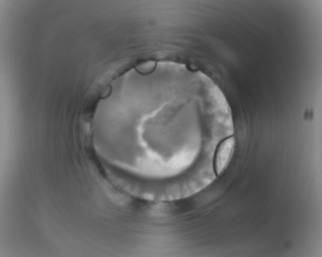 X0000113140527200910161158