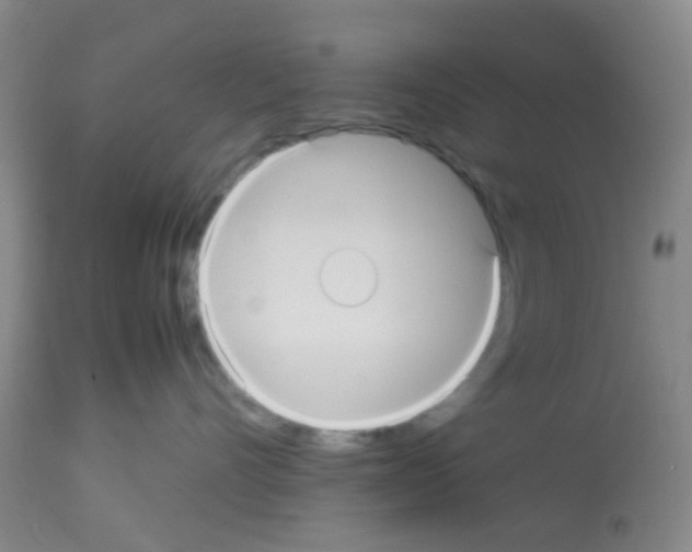 X0000113140528200910161158