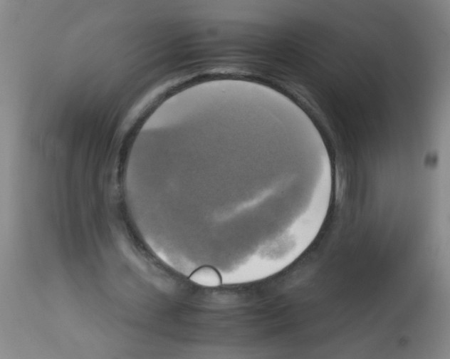 X0000113140531200910161158