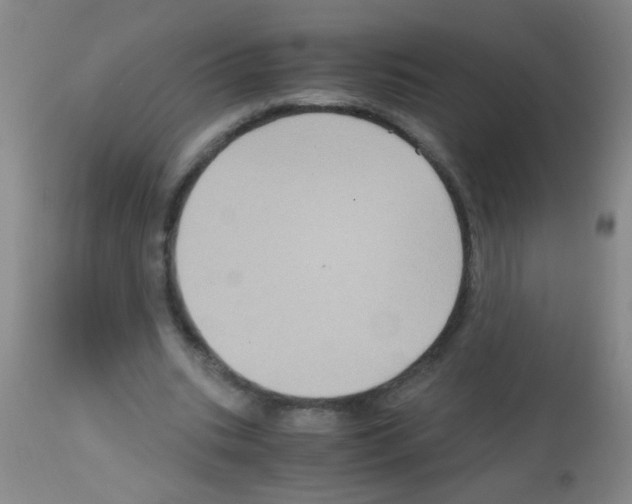 X0000113140535200910161158