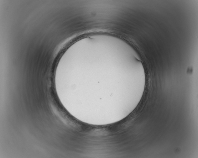 X0000113140536200910161158