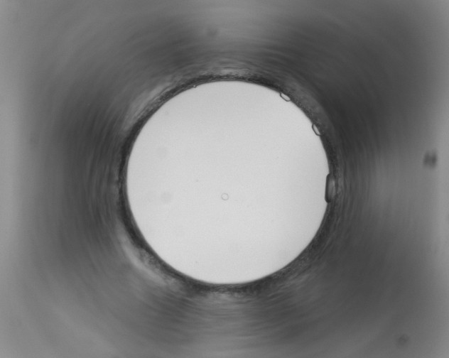 X0000113140538200910161158