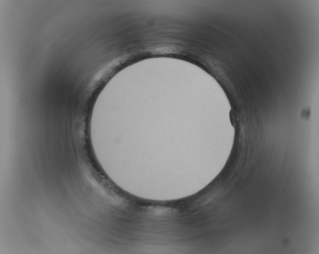 X0000113140539200910161158