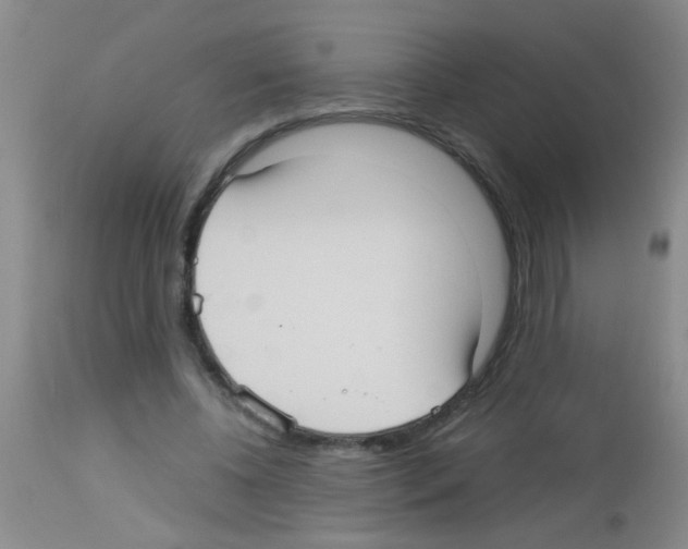 X0000113140540200910161158