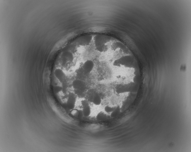 X0000113140542200910161158