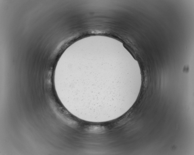 X0000113140543200910161158