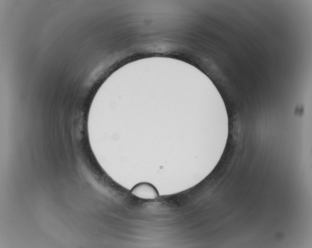 X0000113140544200910161158