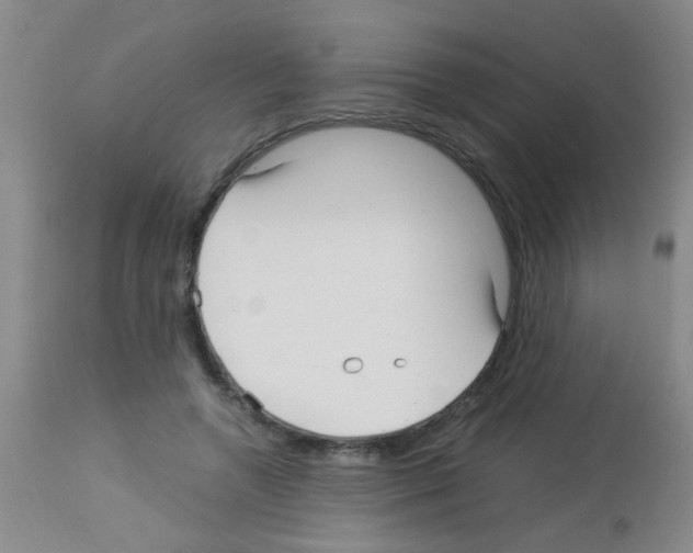 X0000113140546200910161158